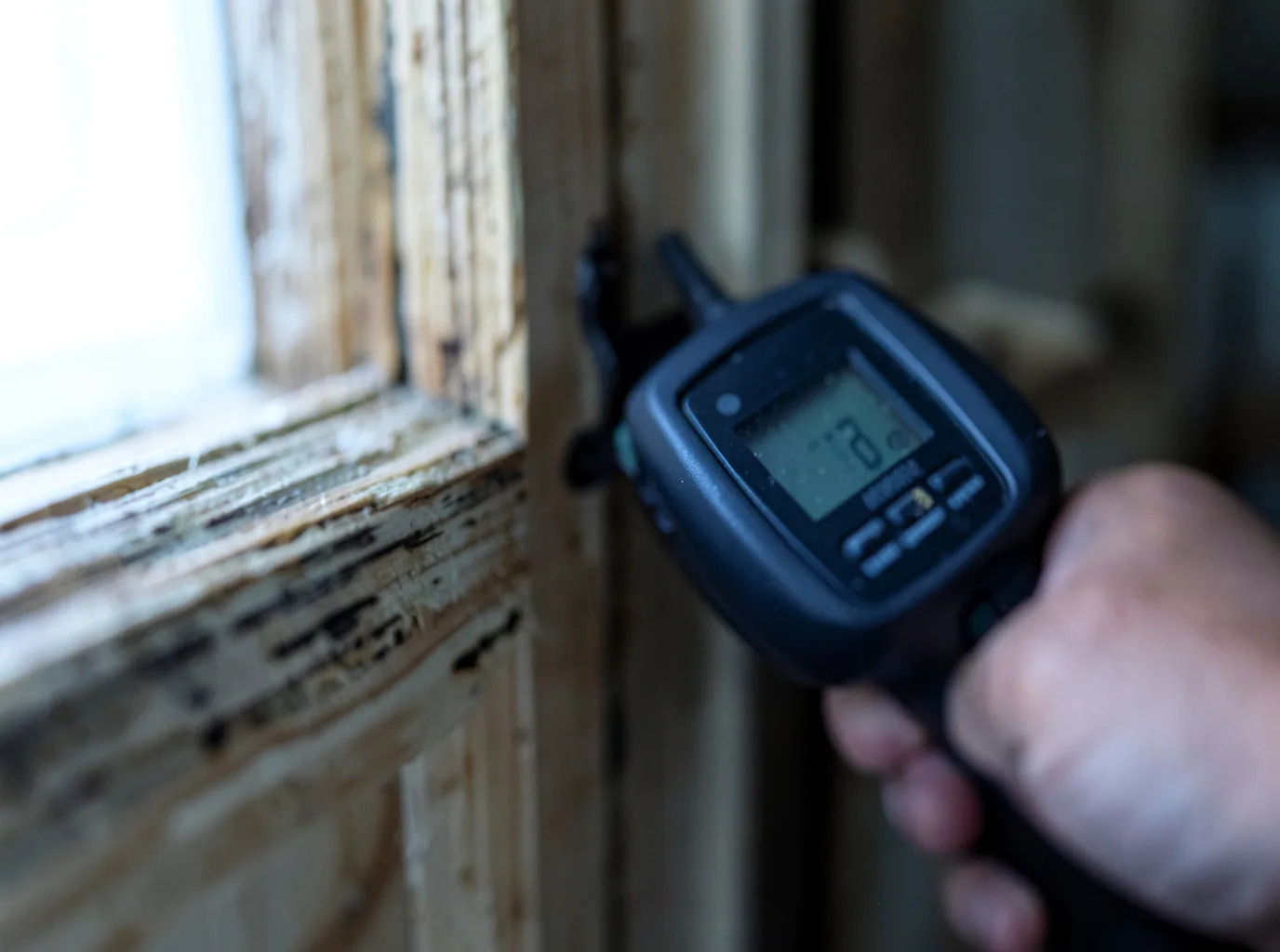 Moisture Inspection And Documentation in Lamoure, ND